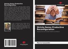 Bookcover of Stricto-Sensu Productive Reconfiguration