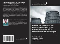 Efecto de la ceniza de cáscara de arroz y las fibras plásticas en la resistencia del hormigón的封面