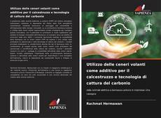 Borítókép a  Utilizzo delle ceneri volanti come additivo per il calcestruzzo e tecnologia di cattura del carbonio - hoz