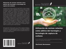 Utilización de cenizas volantes como aditivo del hormigón y tecnología de captura de carbono的封面