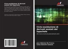 Buchcover von Ciclo-ossidazione di derivati azotati del lapacholo