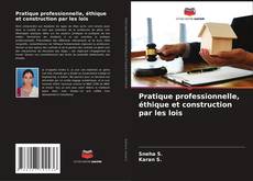 Pratique professionnelle, éthique et construction par les lois kitap kapağı