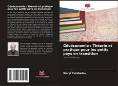 Géoéconomie : Théorie et pratique pour les petits pays en transition kitap kapağı