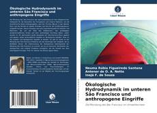 Borítókép a  Ökologische Hydrodynamik im unteren São Francisco und anthropogene Eingriffe - hoz