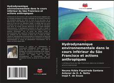 Hydrodynamique environnementale dans le cours inférieur du São Francisco et actions anthropiques kitap kapağı