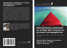 Hidrodinámica ambiental en el bajo São Francisco y acciones antropogénicas kitap kapağı
