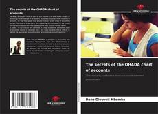 Couverture de The secrets of the OHADA chart of accounts