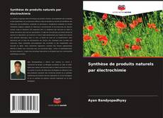 Capa do livro de Synthèse de produits naturels par électrochimie 