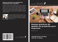 Buenas prácticas de gestión de proyectos para empresas kitap kapağı