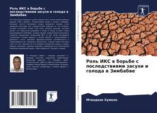 Bookcover of Роль ИКС в борьбе с последствиями засухи и голода в Зимбабве