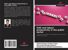 Buchcover von SIAF and labour productivity in the public sector