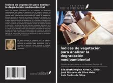 Couverture de Índices de vegetación para analizar la degradación medioambiental