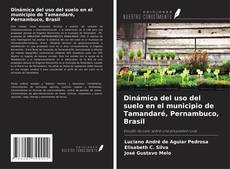 Couverture de Dinámica del uso del suelo en el municipio de Tamandaré, Pernambuco, Brasil