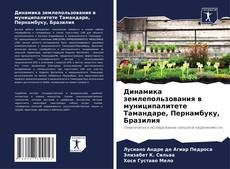 Capa do livro de Динамика землепользования в муниципалитете Тамандаре, Пернамбуку, Бразилия 