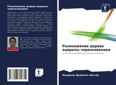 Обложка Размножение дерева ацеролы черенкованием