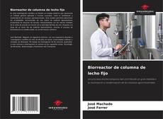 Buchcover von Biorreactor de columna de lecho fijo
