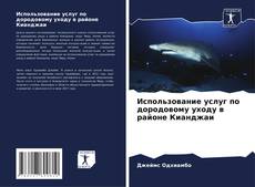 Capa do livro de Использование услуг по дородовому уходу в районе Кианджаи 