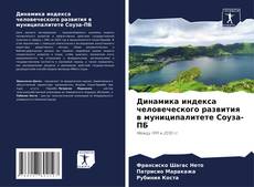 Capa do livro de Динамика индекса человеческого развития в муниципалитете Соуза-ПБ 