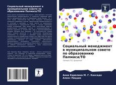 Buchcover von Социальный менеджмент в муниципальном совете по образованию Палмаса/ТО