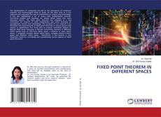Capa do livro de FIXED POINT THEOREM IN DIFFERENT SPACES 