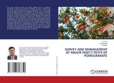 Portada del libro de SURVEY AND MANAGEMENT OF MAJOR INSECT PESTS OF POMEGRANATE