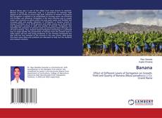 Buchcover von Banana