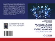 Borítókép a  BIOSYNTHESIS OF IRON NANOPARTICLE FROM HYDROCOTYLE LEUCOCEPHALA LEAVES - hoz