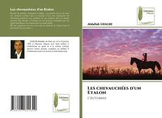 Les chevauchées d'un Etalon的封面