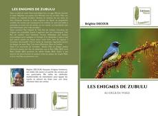 Portada del libro de LES ENIGMES DE ZUBULU