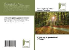 Portada del libro de L'Afrique, jamais ne s'éteint