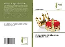 Capa do livro de Chronique du règne du roi Brice 1er 