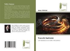 Portada del libro de Vallée Impasse