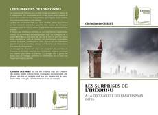 Couverture de LES SURPRISES DE L’INCONNU