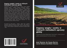 Zapasy węgla i azotu w różnych metodach uprawy gleby的封面