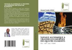 Copertina di VOYAGE ALCHIMIQUE A TRAVERS LES ENERGIES DES QUATRE ELEMENTS