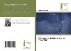 Buchcover von Comme un phare dans la tempête