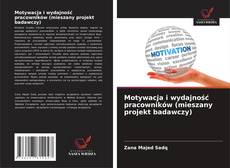 Capa do livro de Motywacja i wydajność pracowników (mieszany projekt badawczy) 
