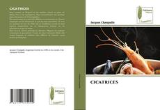 Couverture de CICATRICES