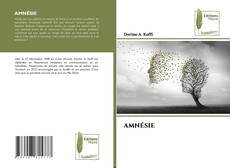 AMNÉSIE kitap kapağı