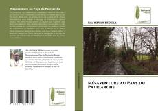 Mésaventure au Pays du Patriarche kitap kapağı