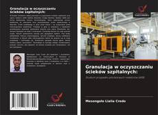 Buchcover von Granulacja w oczyszczaniu ścieków szpitalnych: