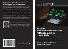 Buchcover von Pasivos medioambientales: una reflexión para la contabilidad