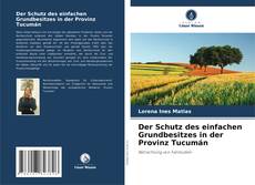 Copertina di Der Schutz des einfachen Grundbesitzes in der Provinz Tucumán