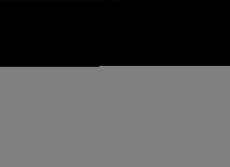 Bookcover of Reflexionen über Bildung, Vielfalt und Unternehmertum