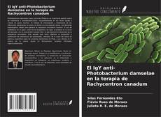 Copertina di El IgY anti-Photobacterium damselae en la terapia de Rachycentron canadum