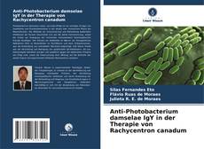 Обложка Anti-Photobacterium damselae IgY in der Therapie von Rachycentron canadum