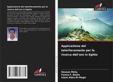 Обложка Applicazione del telerilevamento per la ricerca dell'oro in Egitto
