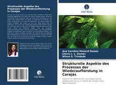 Buchcover von Strukturelle Aspekte des Prozesses der Wiederaufforstung in Carajás
