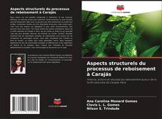 Couverture de Aspects structurels du processus de reboisement à Carajás