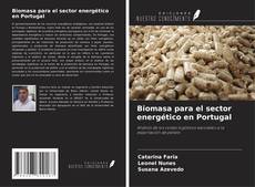Copertina di Biomasa para el sector energético en Portugal